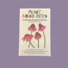 Load image into Gallery viewer, Echinacea Purpurea Flower Seeds
