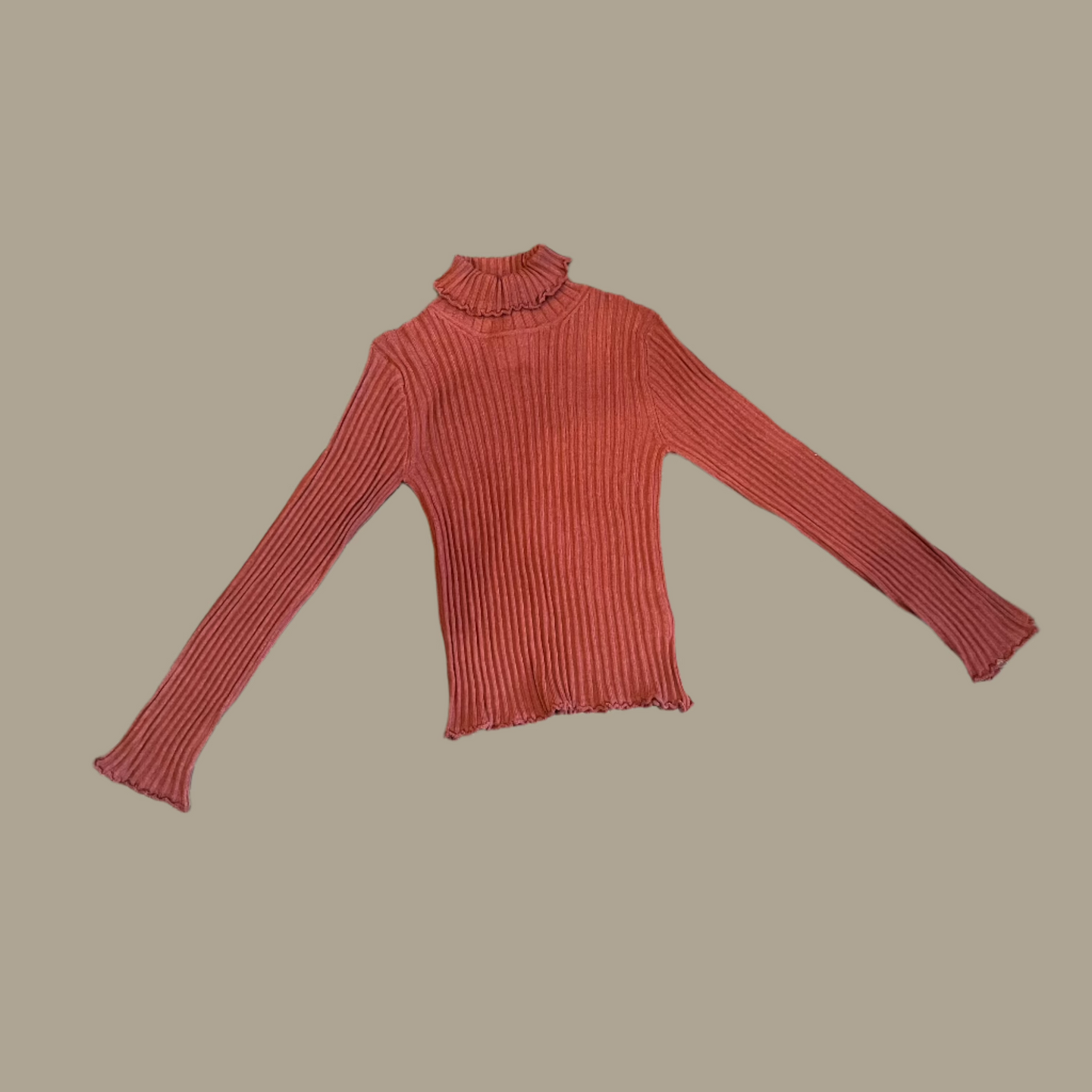 Merino Wool Knit Turtleneck